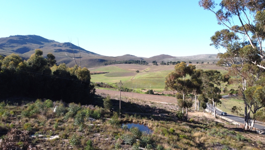 0 Bedroom Property for Sale in Hemel and Aarde Western Cape
